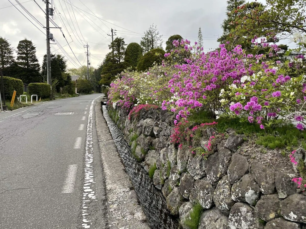 画像120
