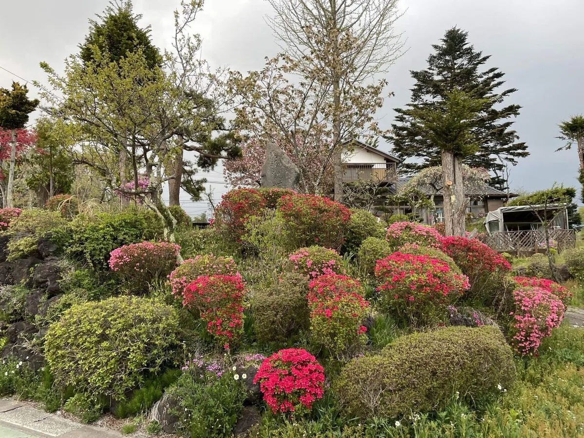 画像137