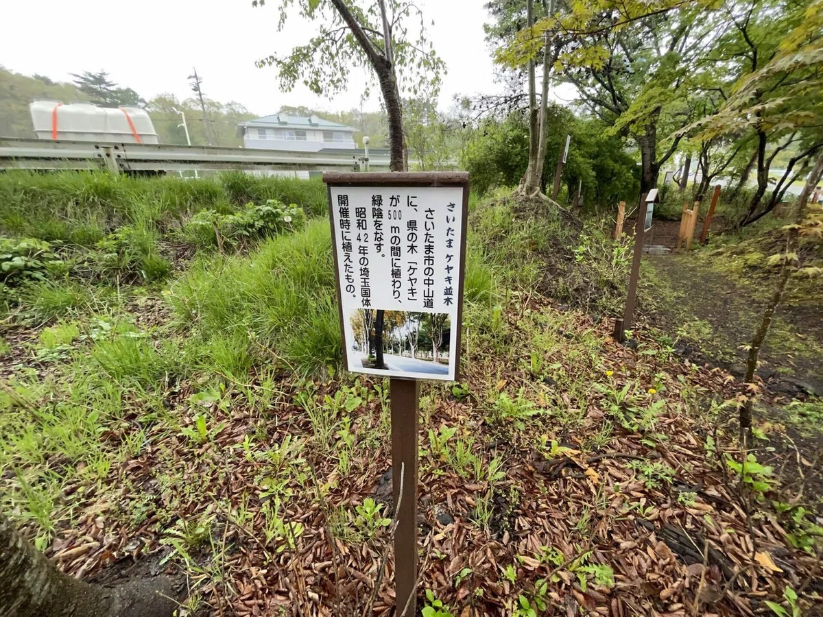 画像14