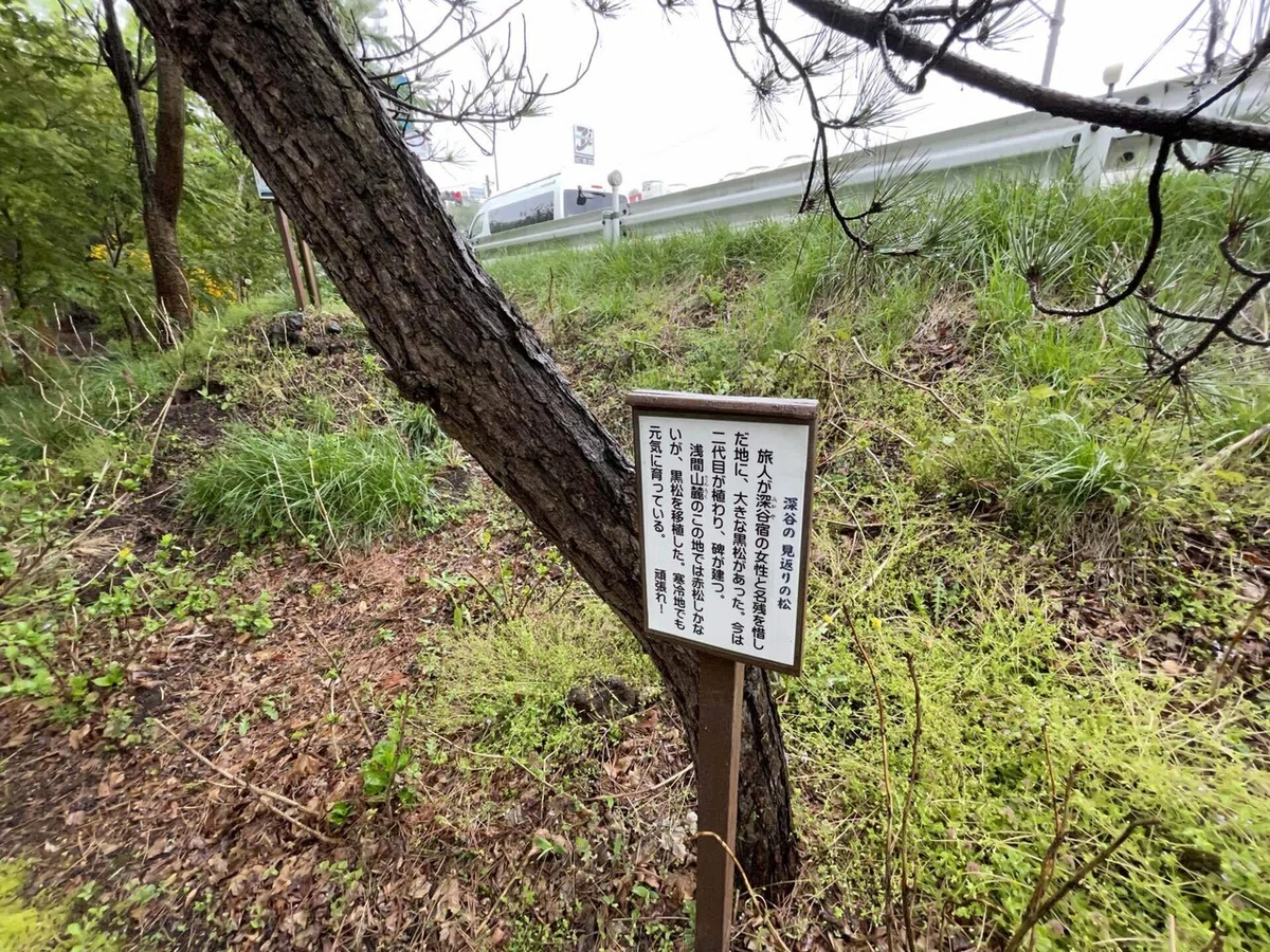 画像15