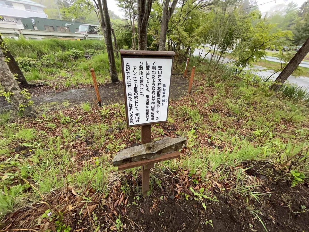 画像18