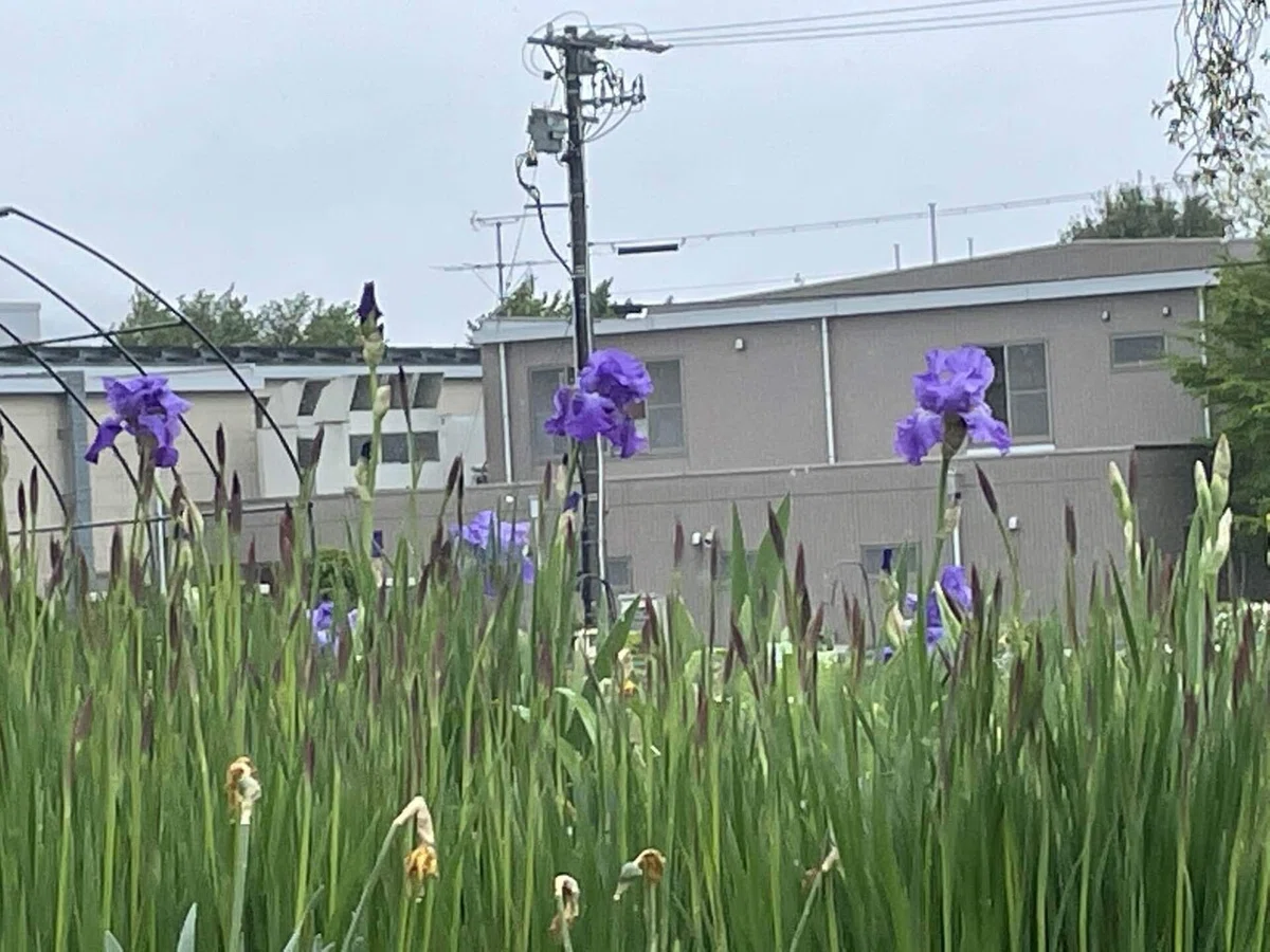 画像73