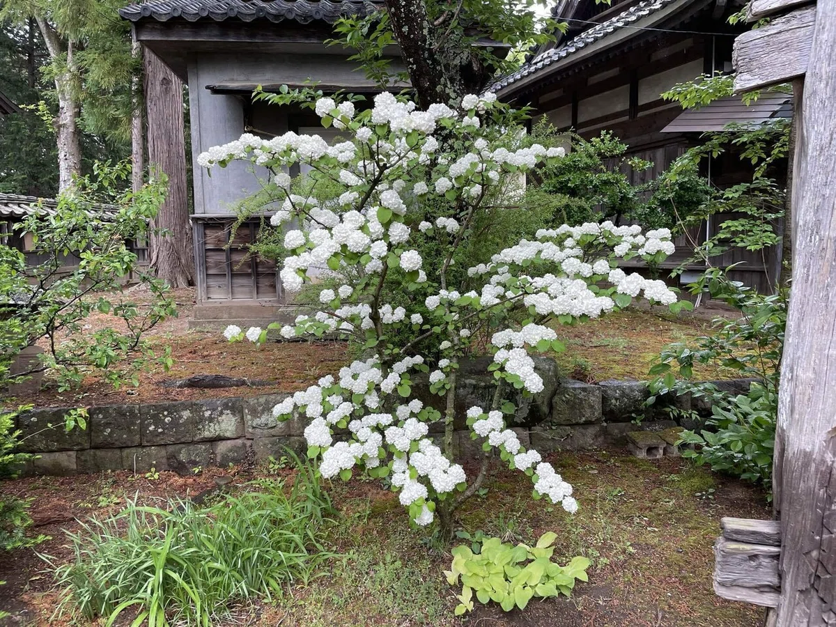 画像196