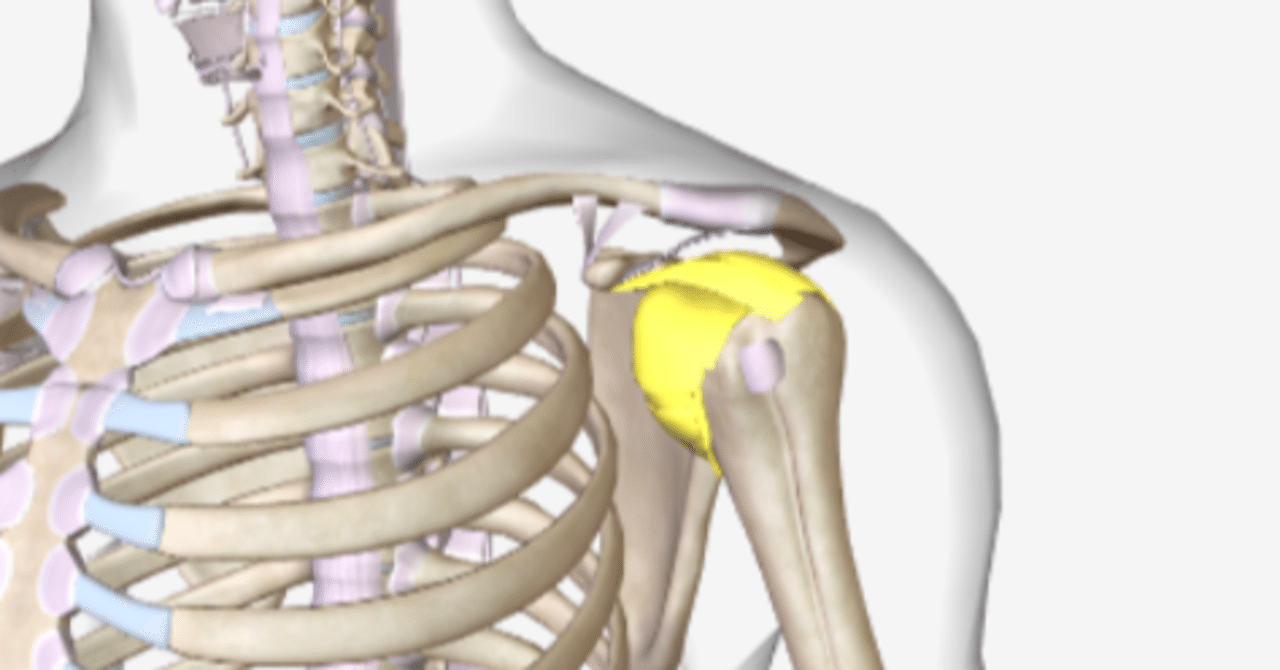 ストレスが引き起こした肩関節の痛み とよたまファンクショナルデザイン Note