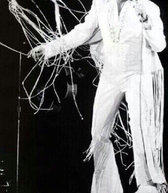 エルビスは永遠に。｜石山悦子