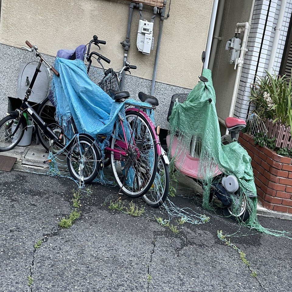 エルビスは永遠に。｜石山悦子