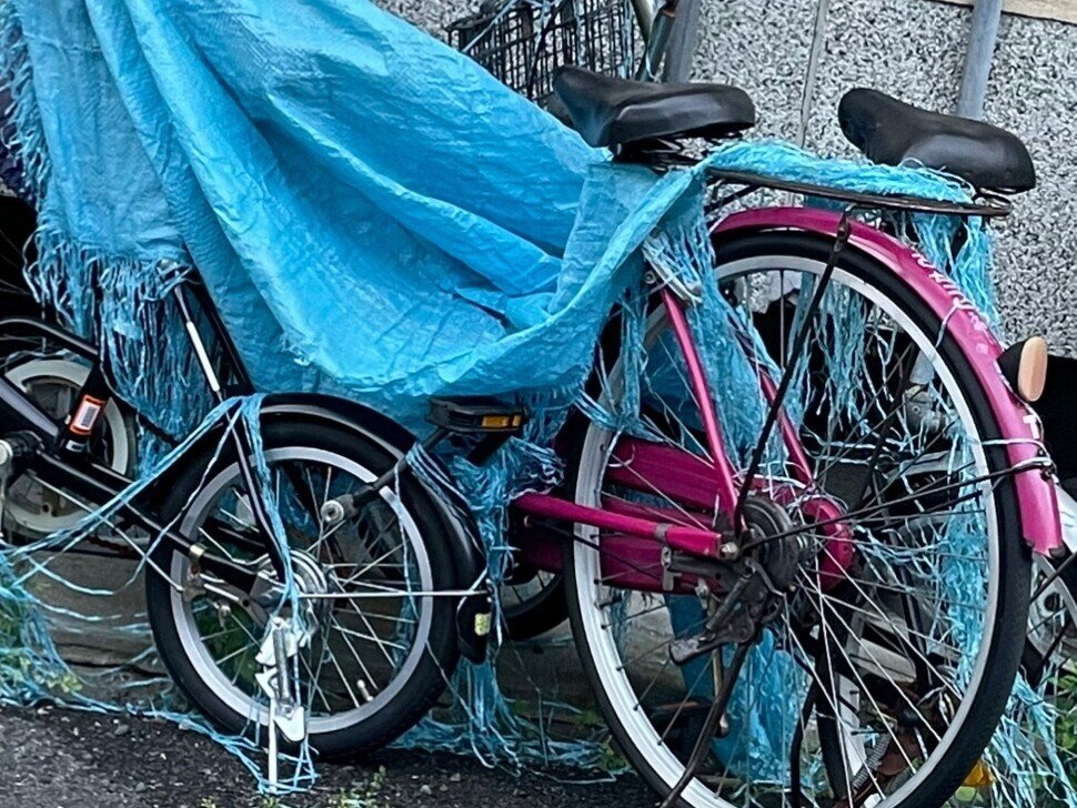 エルビスは永遠に。｜石山悦子