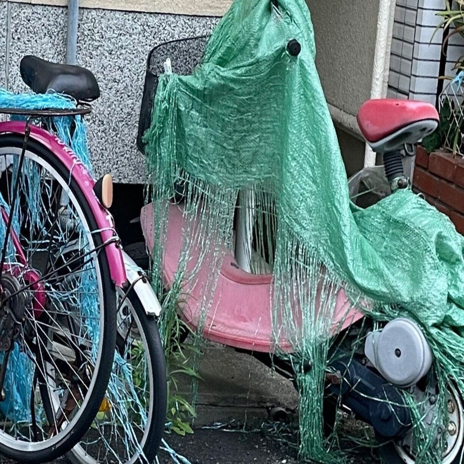 エルビスは永遠に。｜石山悦子