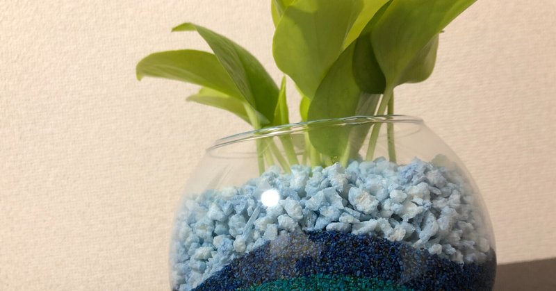 集中力 観葉植物で仕事や勉強の効率が上がると聞いたので ライムポトスを購入してみた結果 みずやりの頻度は 民奈涼介 シナリオライター Note