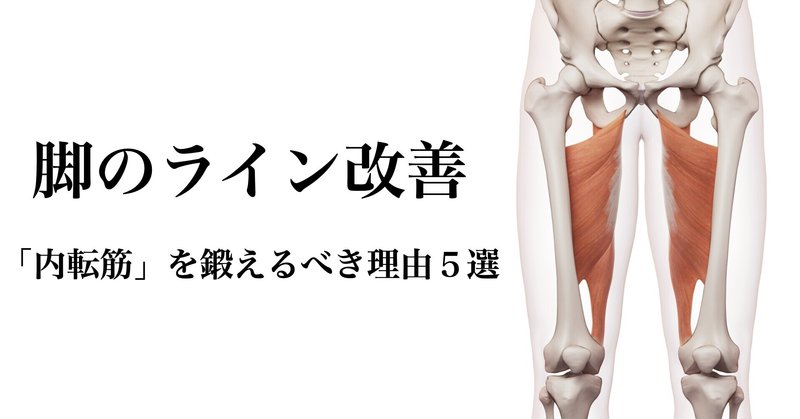 脚のライン O脚 Xo脚 X脚 を改善する際に欠かせない筋肉 股関節内転筋 を鍛えるべき理由5選 薬師寺偲 理学療法士 ピラティス Note 脚のライン O脚 Xo脚 X脚 を改善する際に欠かせない筋肉 股関節内転筋 を鍛えるべき理由5選 薬師寺偲 理学療法士 ピラティス Note