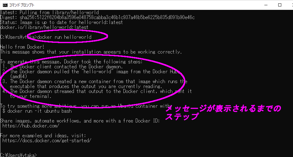 スクリーンショット (174)