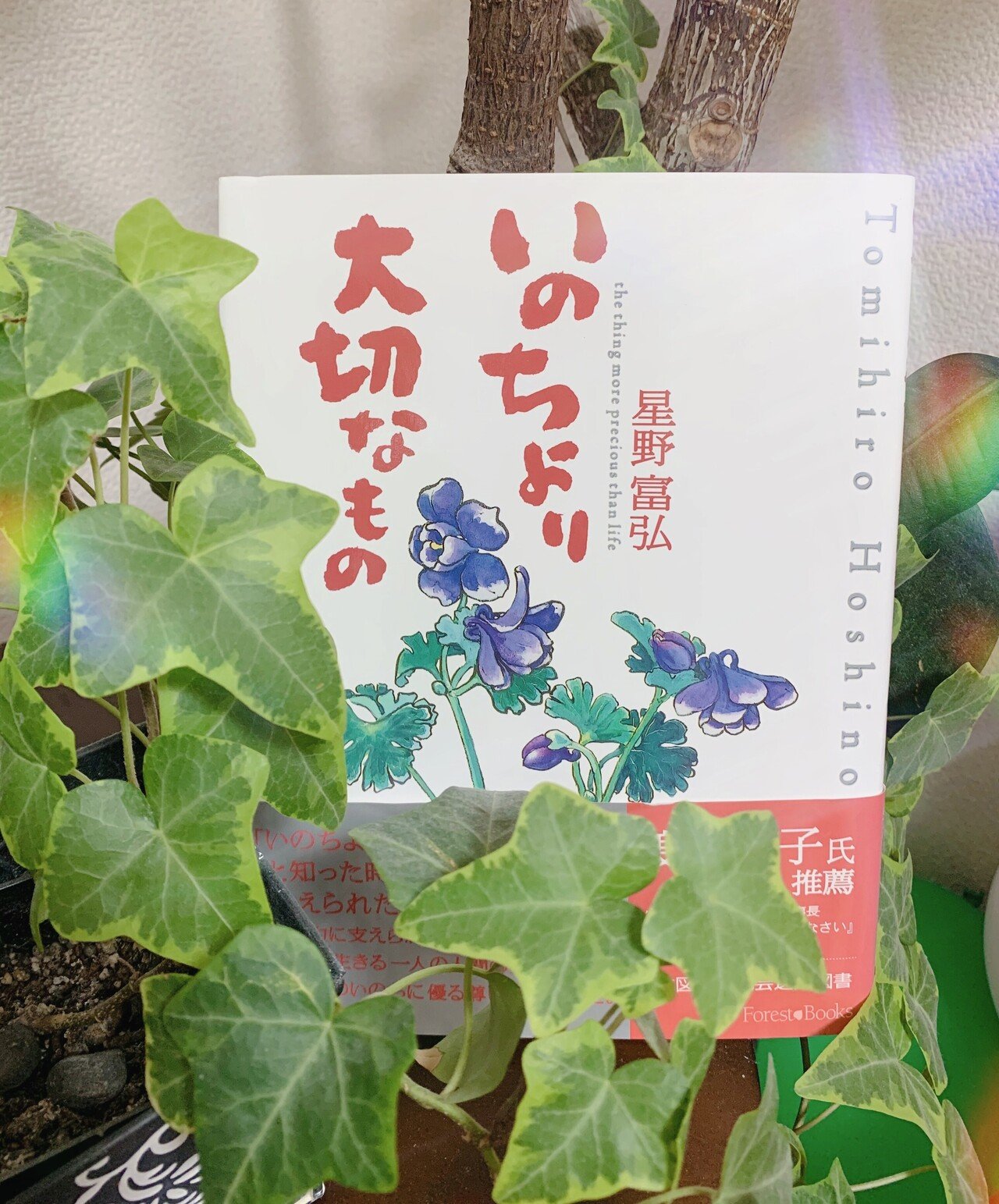 いのちより大切なもの 心音 Cocone Note