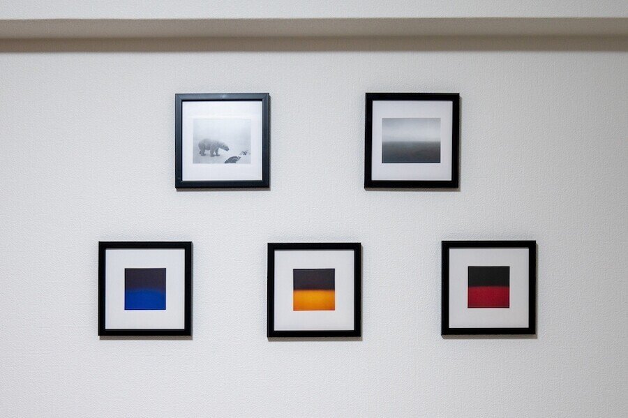 賃貸だけど アートと暮らしたくて 試行錯誤してみた 絵画 写真編 ぷらいまり Note