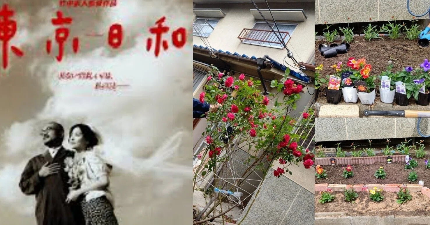 花壇が残され「東京日和 」って映画のことと、深夜書店。｜いに 仁 T