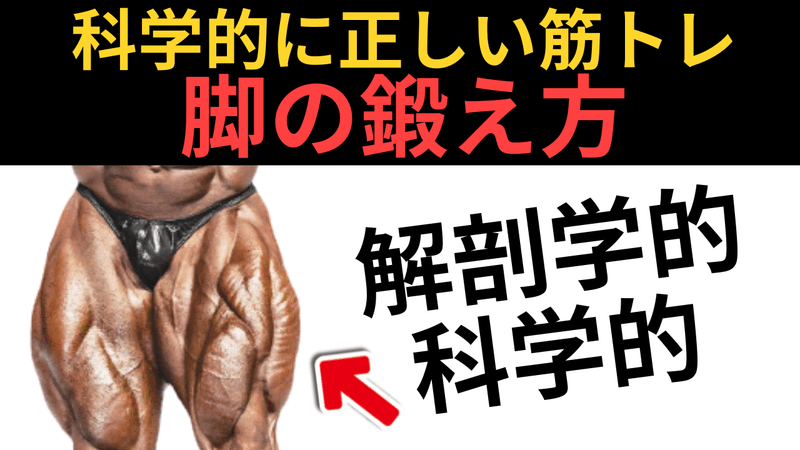 脚トレ 科学的な脚の筋トレ 脚を鍛える5種目を徹底解説 論文12本 筋トレの科学 Note 脚トレ 科学的な脚の筋トレ 脚を鍛える5種目を徹底解説 論文12本 筋トレの科学 Note