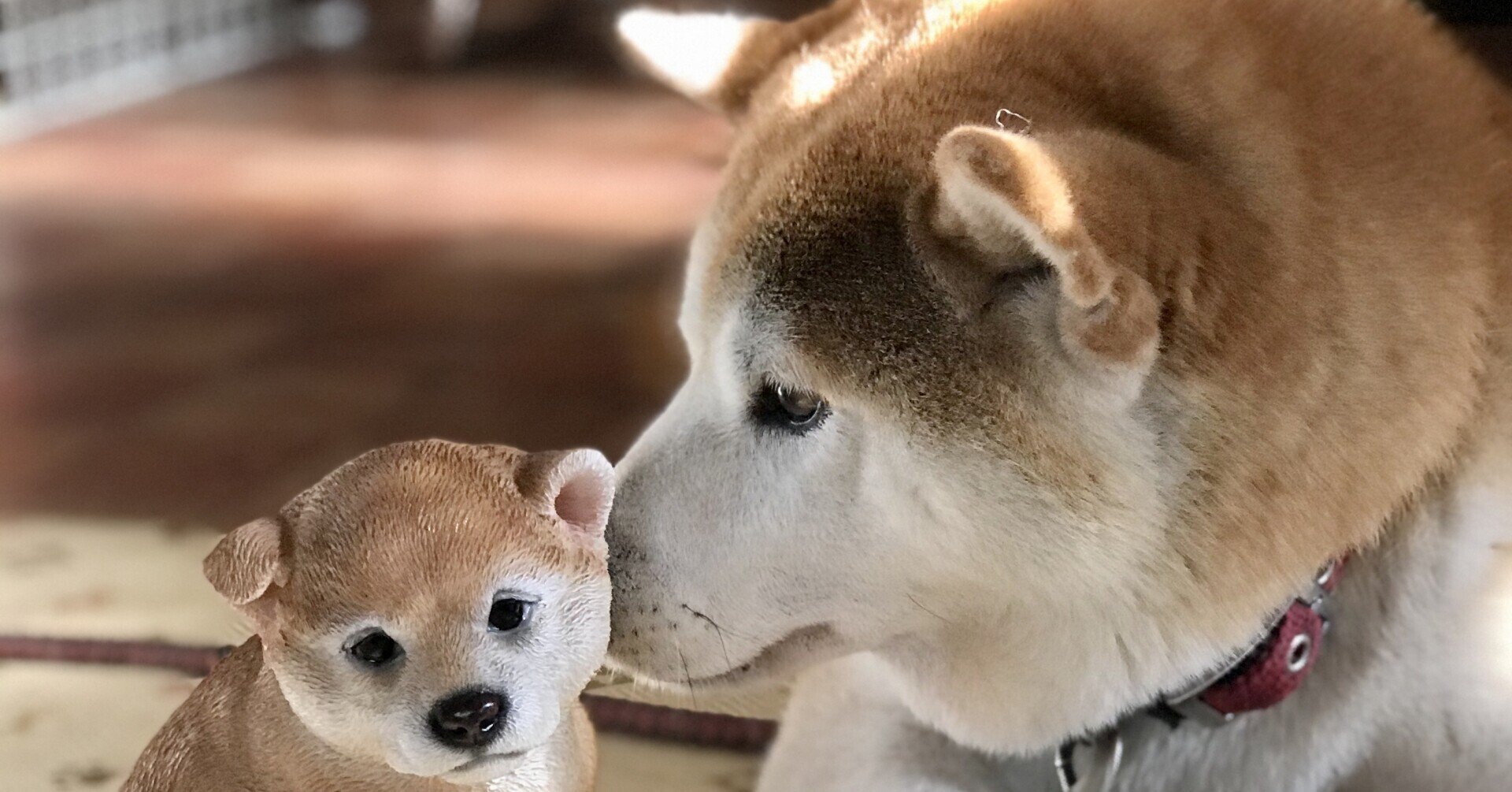 書くテーマに困ったときは ランダム単語ガチャ がおすすめです しばいぬたろう Note 書くテーマに困ったときは ランダム単語ガチャ がおすすめです しばいぬたろう Note