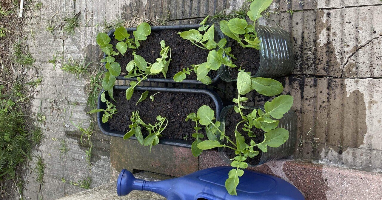 農業は意外と儲かるし ストレスフリー Sattaku1538itエンジニア兼 動画編集者 Note 農業は意外と儲かるし ストレスフリー Sattaku1538itエンジニア兼 動画編集者 Note