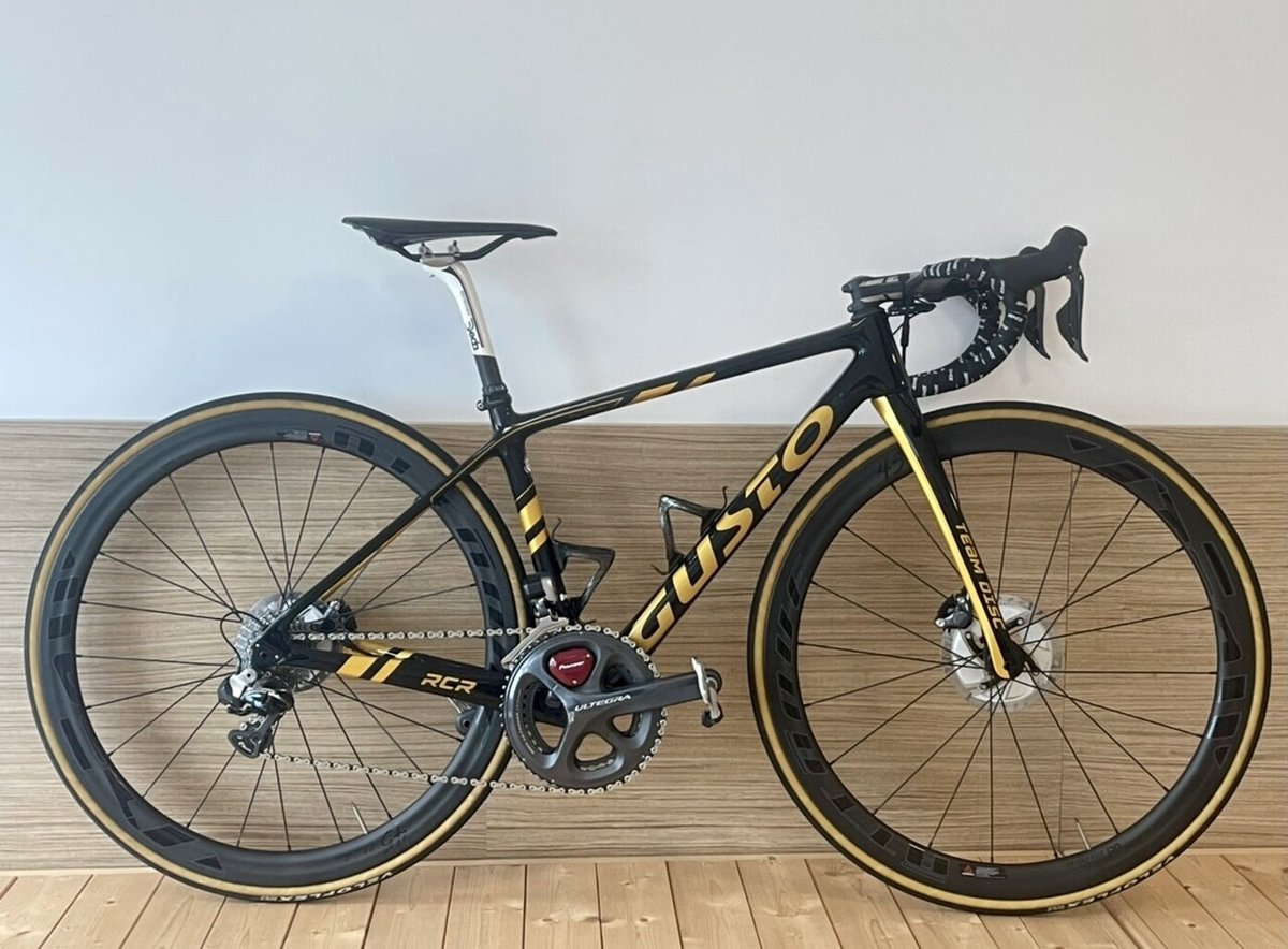 自転車本体 GUSTO  RCR  LE 2017 DSC_4281-1024x768.jpg