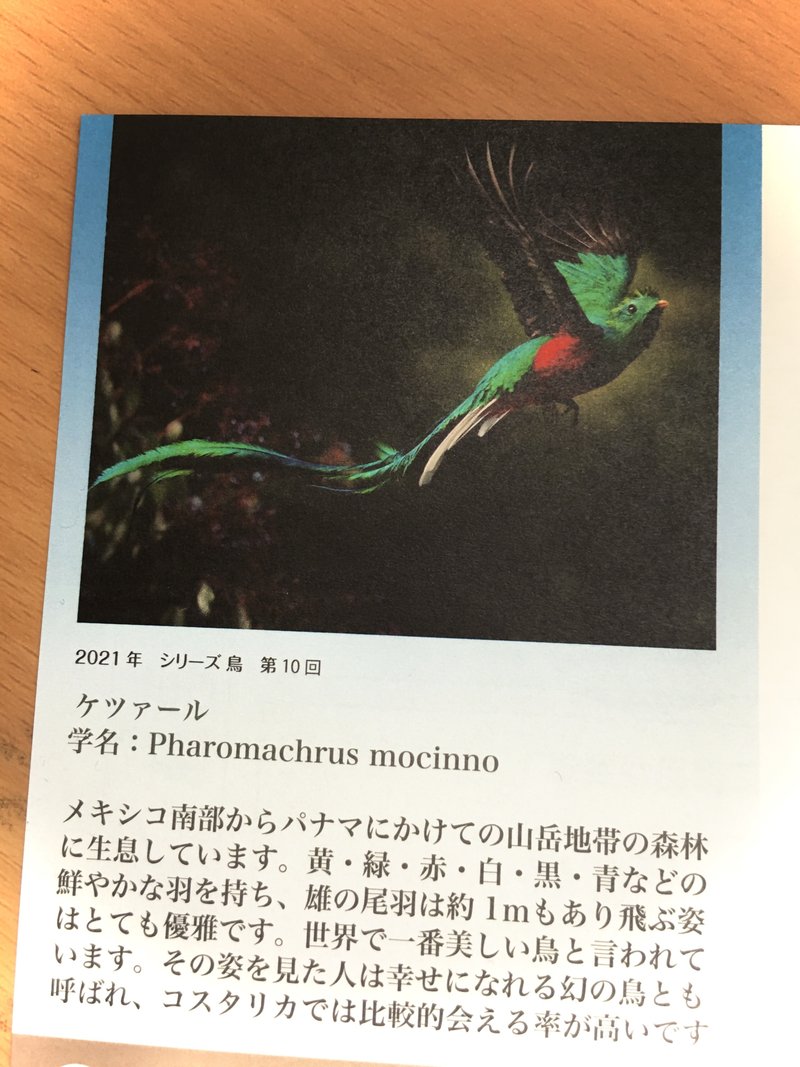 ケツァール の新着タグ記事一覧 Note つくる つながる とどける ケツァール の新着タグ記事一覧 Note つくる つながる とどける