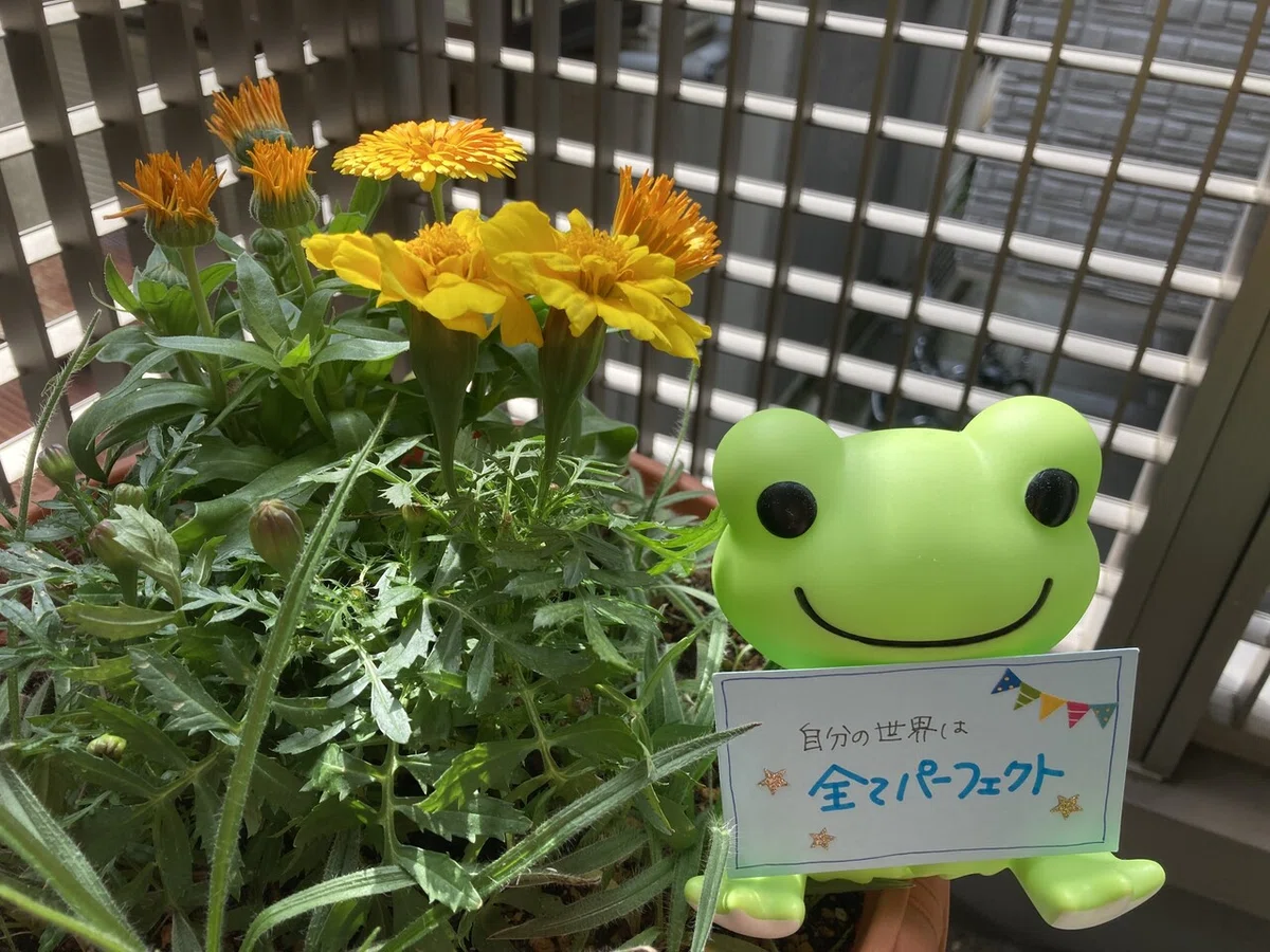 画像3