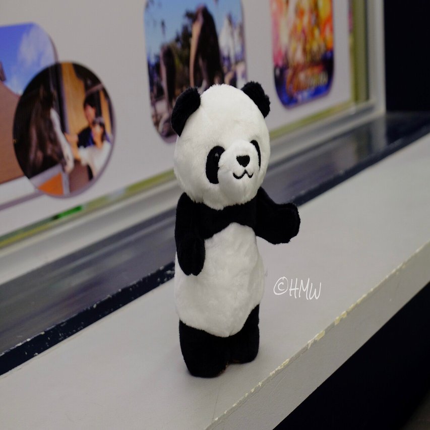新商品パンダ🐼アド・ベン太郎（仮）お迎え｜Hiromichi Wandering