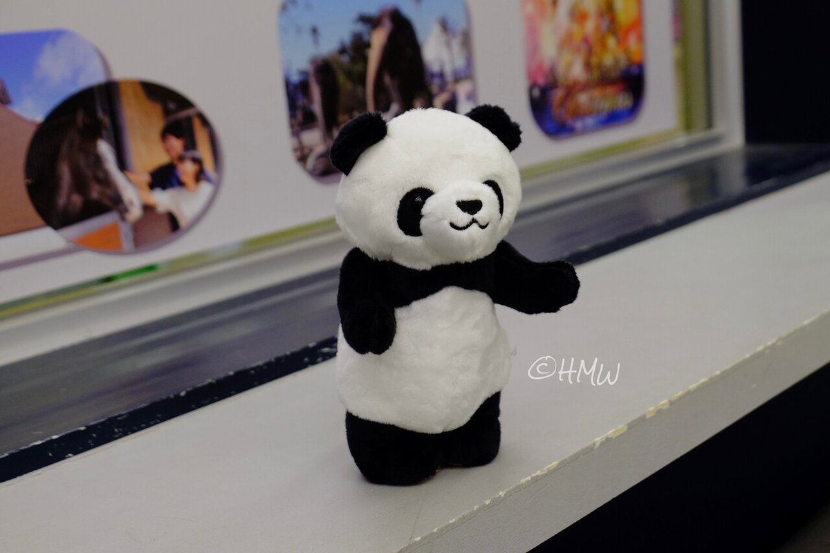 アドベンチャーワールド 立てる座れる パンダ 巨大 ぬいぐるみ BIG