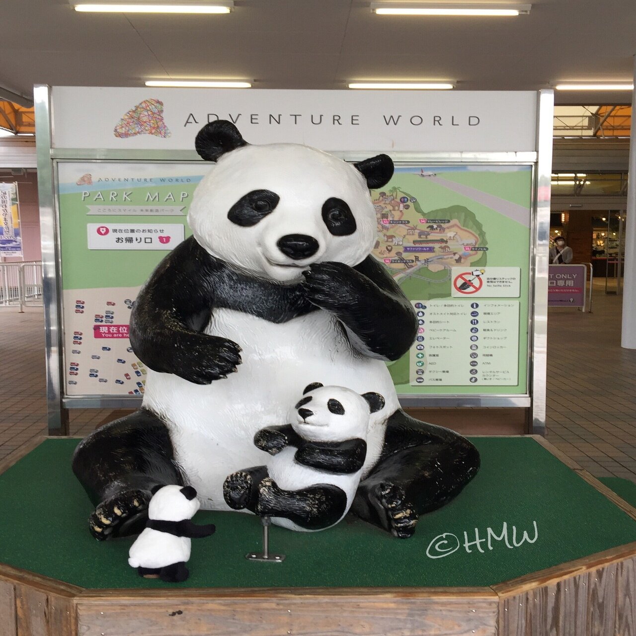 新商品パンダ🐼アド・ベン太郎（仮）お迎え｜Hiromichi Wandering