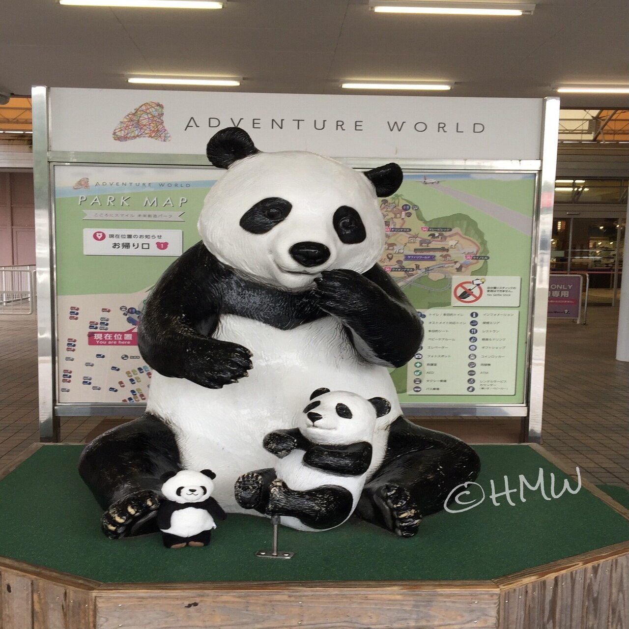 新商品パンダ🐼アド・ベン太郎（仮）お迎え｜Hiromichi Wandering