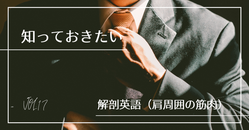 解剖英語 英語 苅田龍三 Athletic Trainer Acupuncturist Training Note