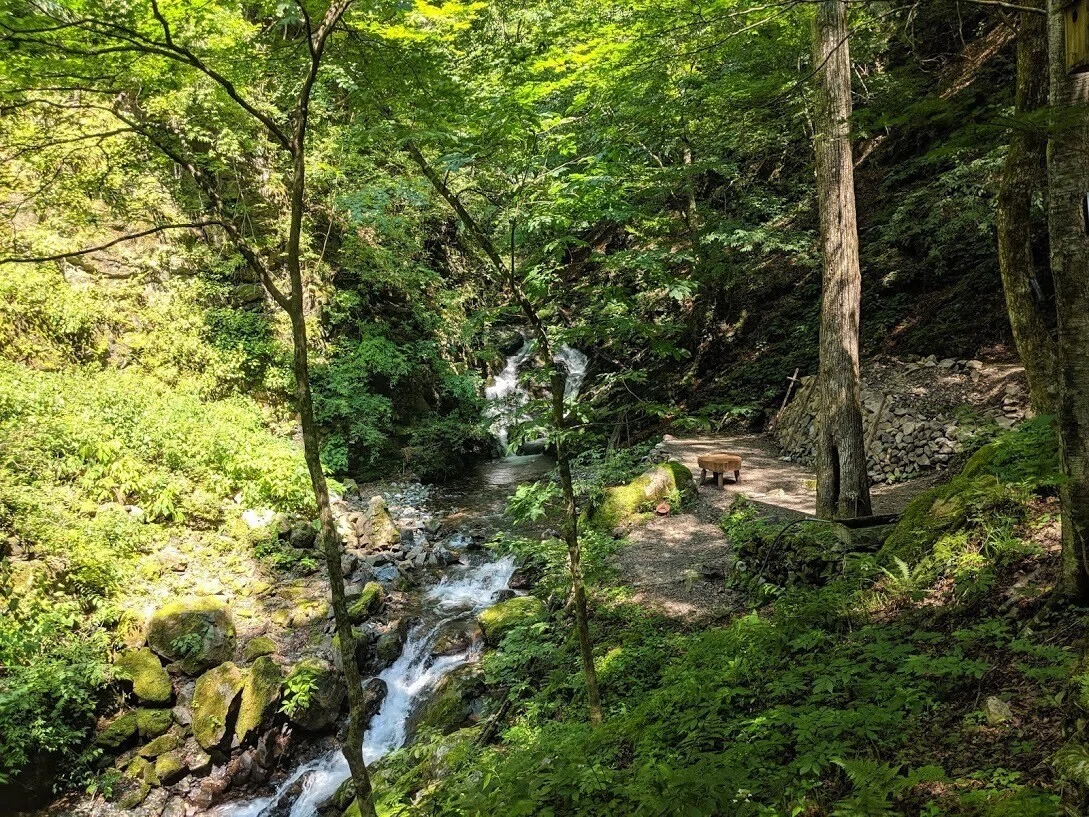 画像5