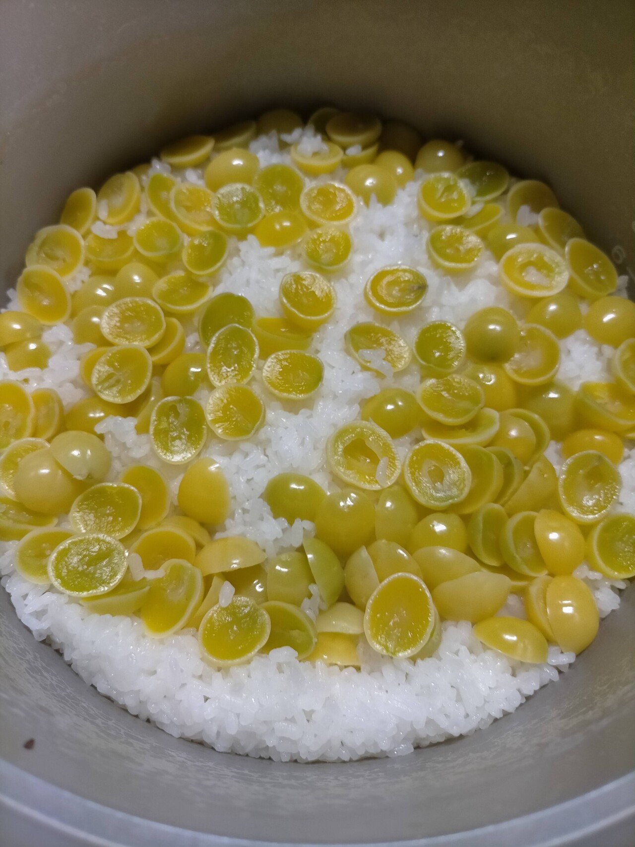 銀杏ご飯を炊いてみた 吉金正晃 瀧乃元近藤家 Note 銀杏ご飯を炊いてみた 吉金正晃 瀧乃元近藤家 Note