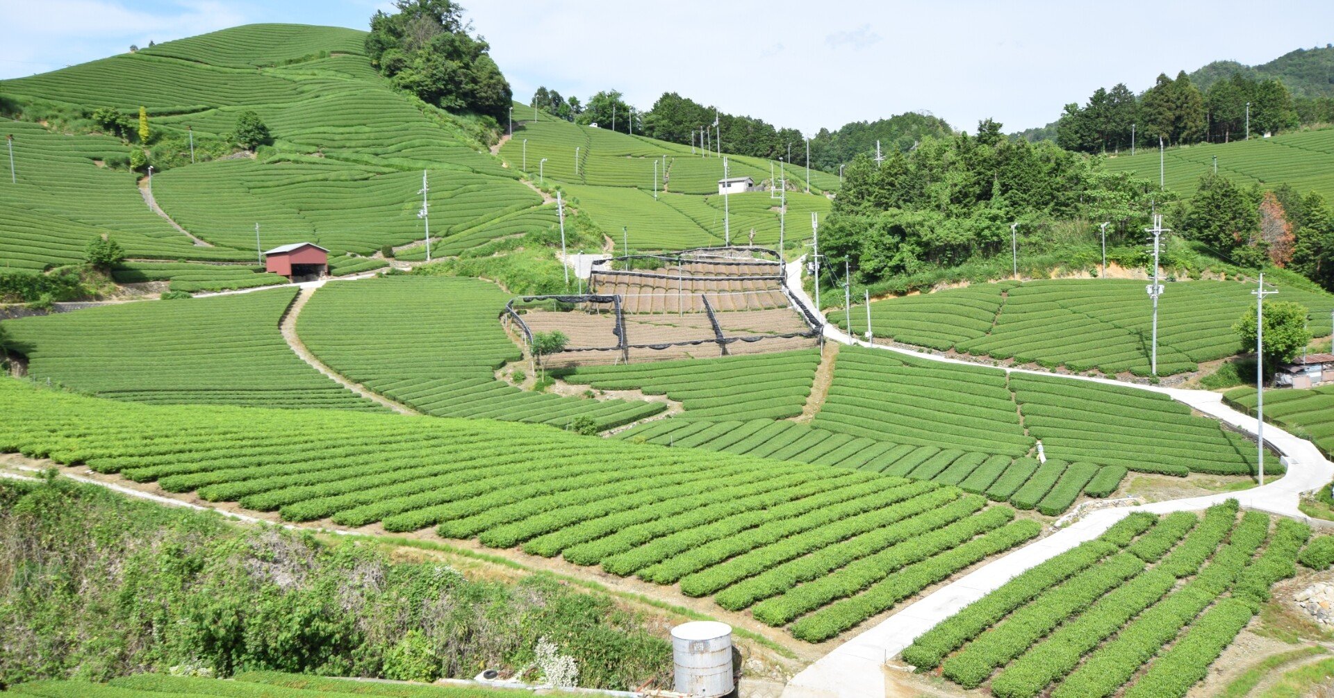 宇治茶の郷 和束町 行き方と観光マップ Shimpei Yamamoto Note 宇治茶の郷 和束町 行き方と観光マップ Shimpei Yamamoto Note