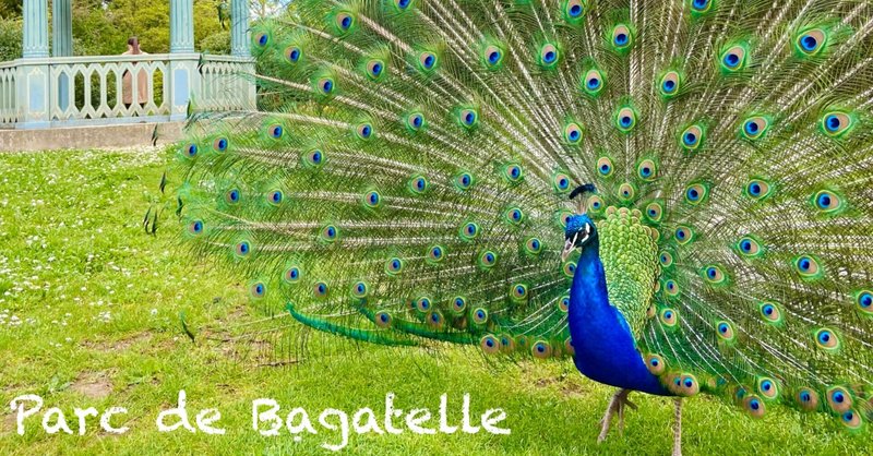 【パリ16区】自然と動物に癒される！バガテル公園　

Parc de Bagatelle（５月中旬、薔薇が咲く前）