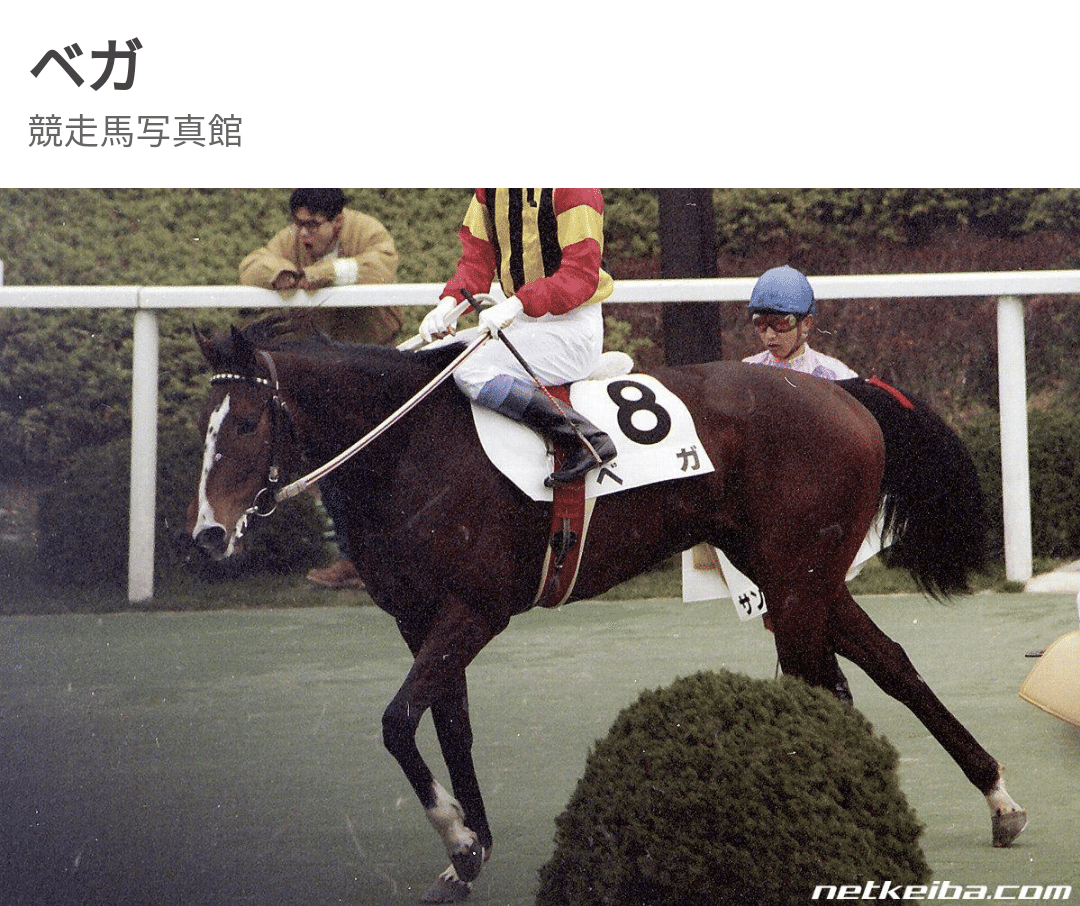 思い出のオークス馬 Umaoner Note