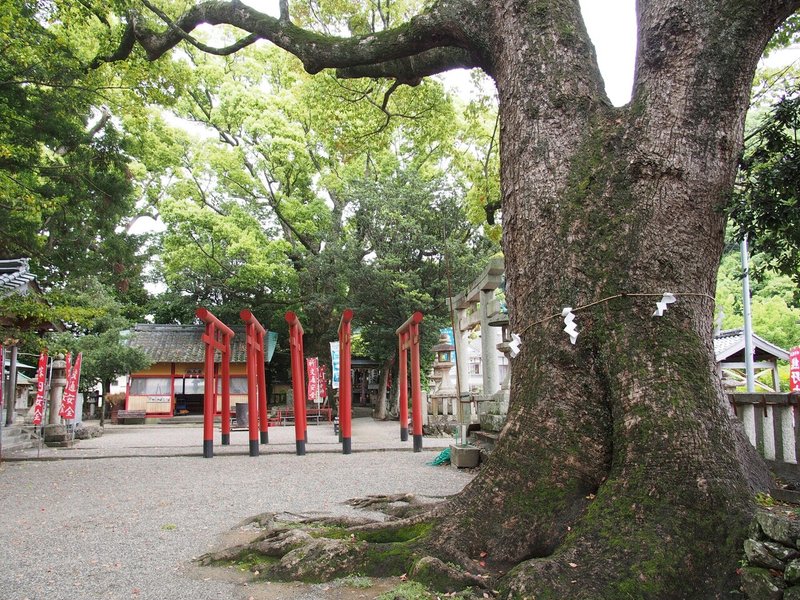 20210508糸我稲荷神社 (2 - 3)