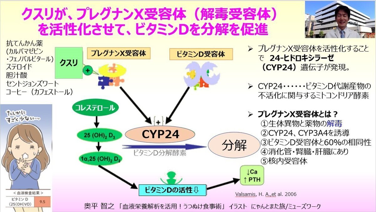 210518【FB】プレグナンX受容体を介してビタミンDが分解される