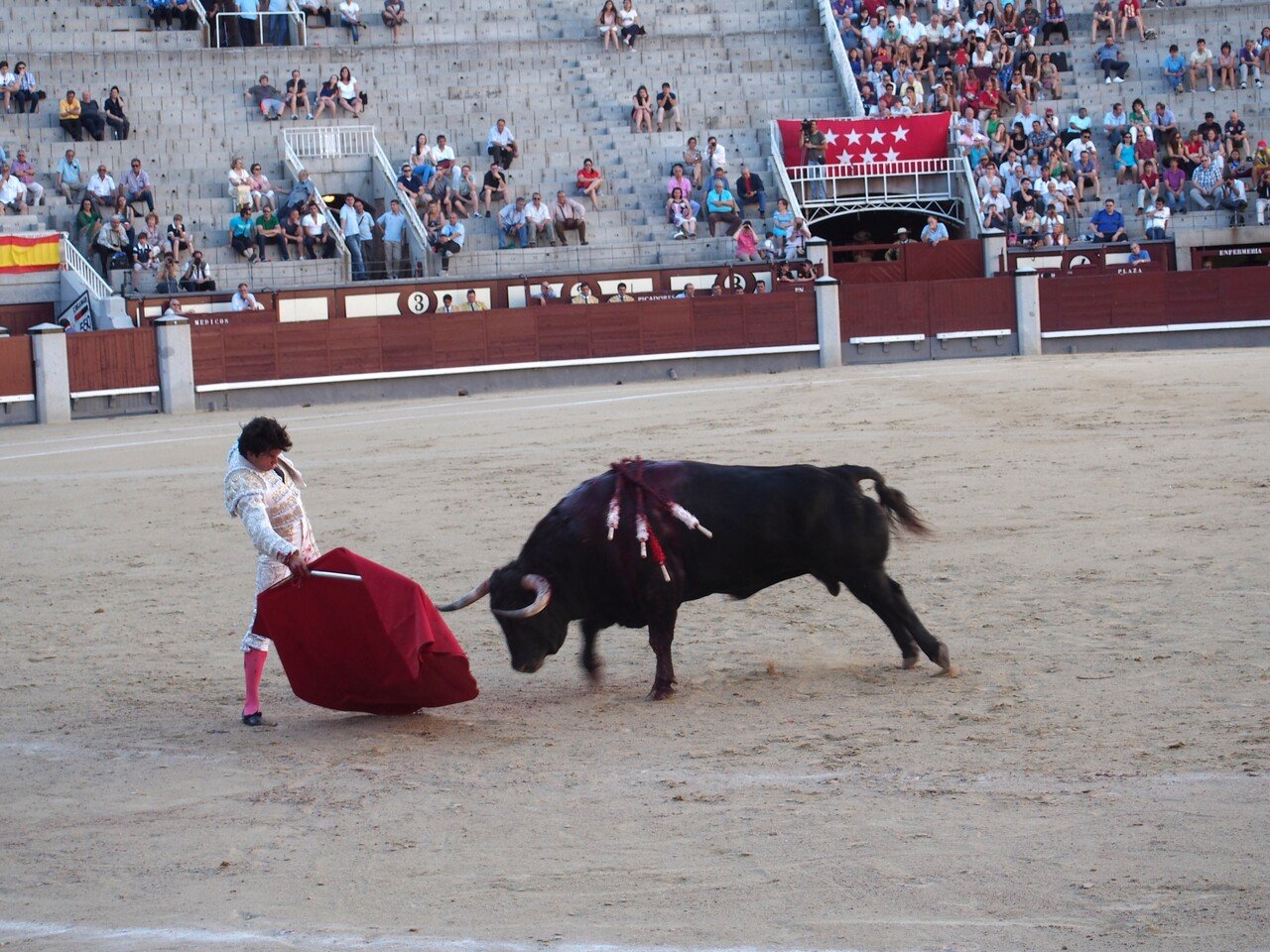 君は 闘牛 を見たことがあるか 乙武 洋匡 Note 君は 闘牛 を見たことがあるか 乙武 洋匡 Note