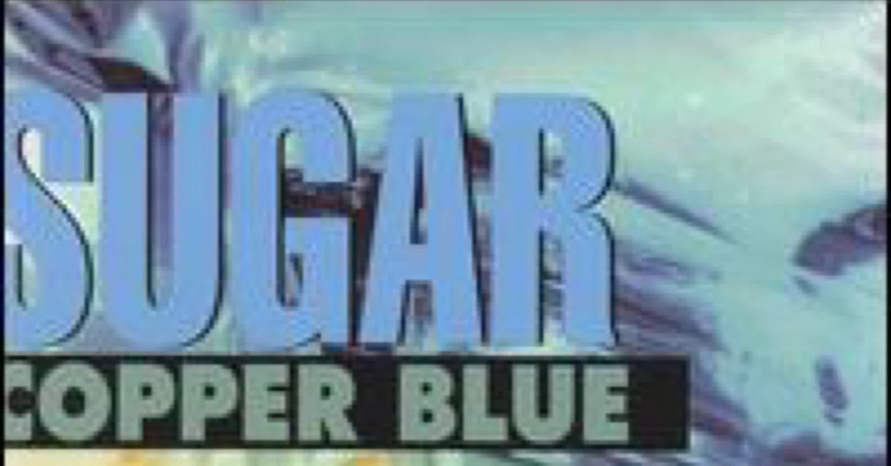 90年代の隠れていない名盤、その63(Sugar)｜KAWA