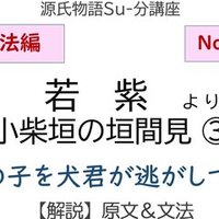 誰が夕顔を殺したか 源氏物語の 悪役 を解析する面白さ 砂崎 良 Note 誰が夕顔を殺したか 源氏物語の 悪役 を解析する面白さ 砂崎 良 Note