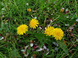 栽培キット の新着タグ記事一覧 Note つくる つながる とどける 栽培キット の新着タグ記事一覧 Note つくる つながる とどける