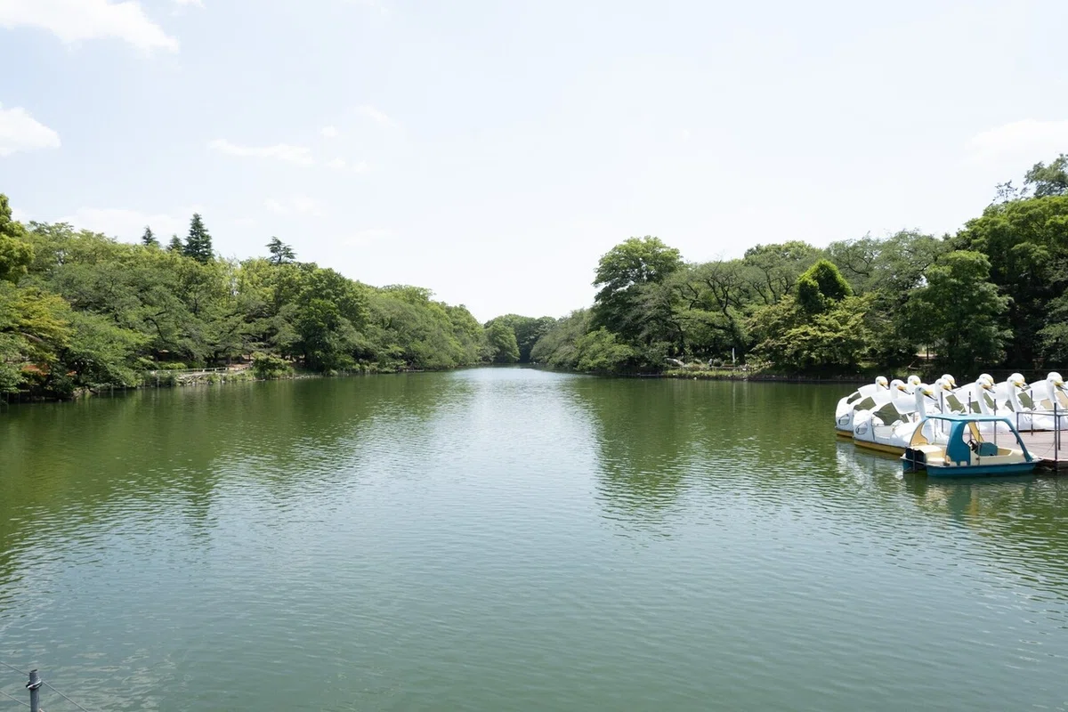 画像2