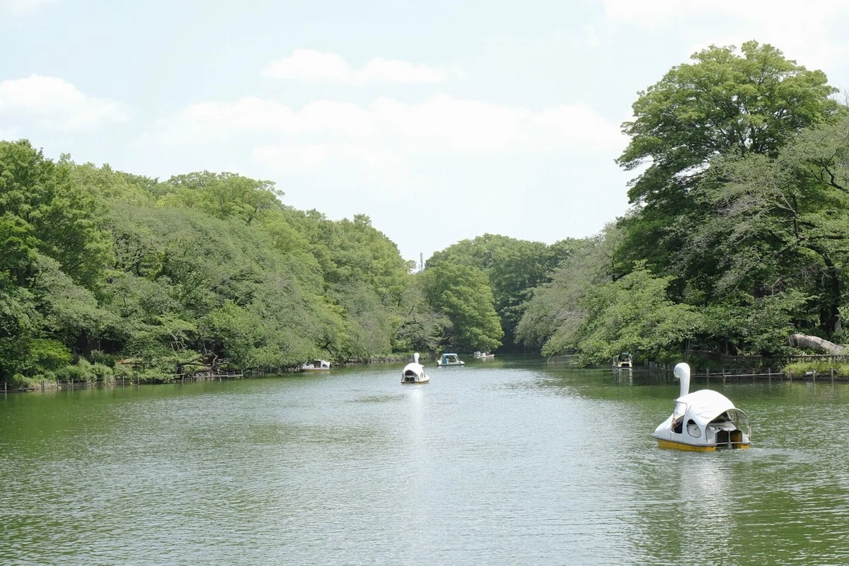 画像7