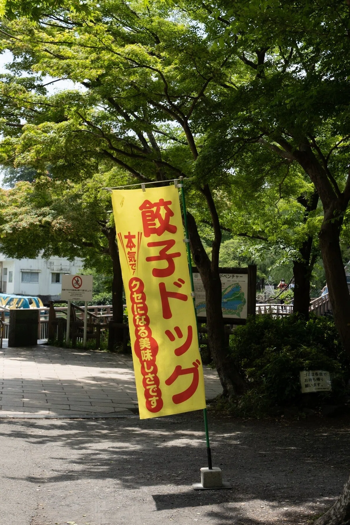 画像8