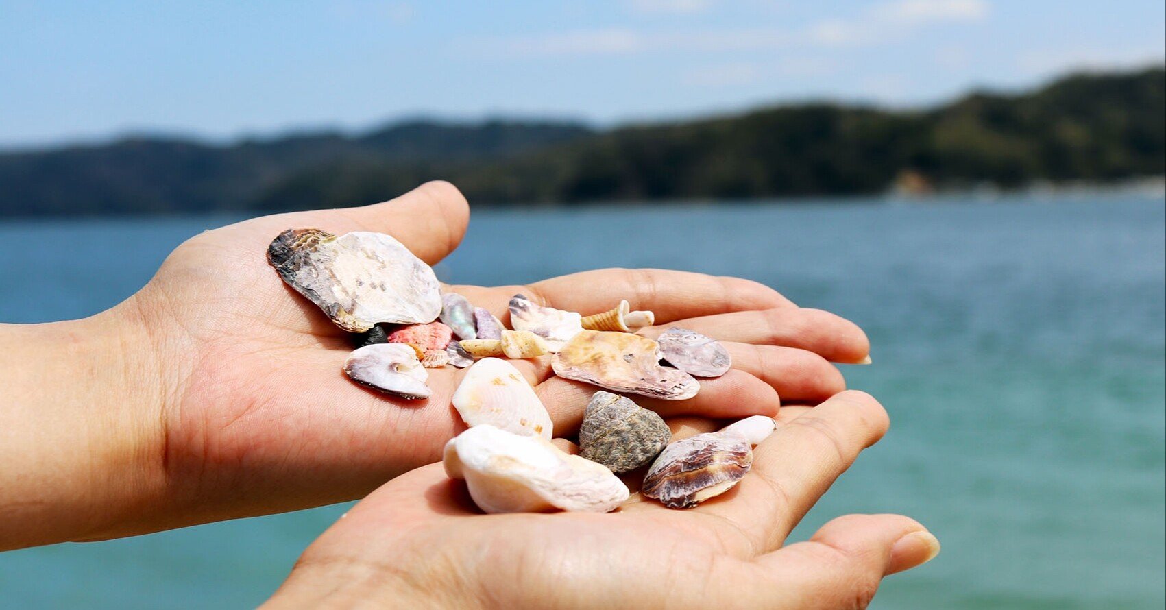 51db1d15b840e536d121c115d08c2d