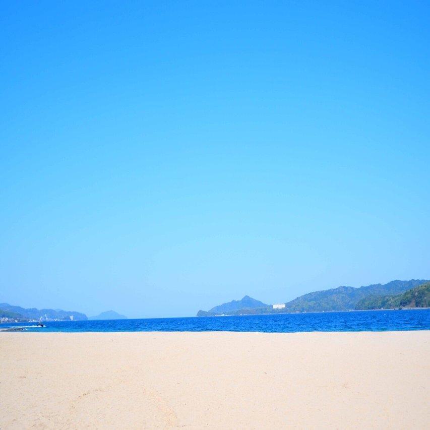 天橋立 4 海からの贈り物を探そう 天橋立で貝拾い 宮津市広報