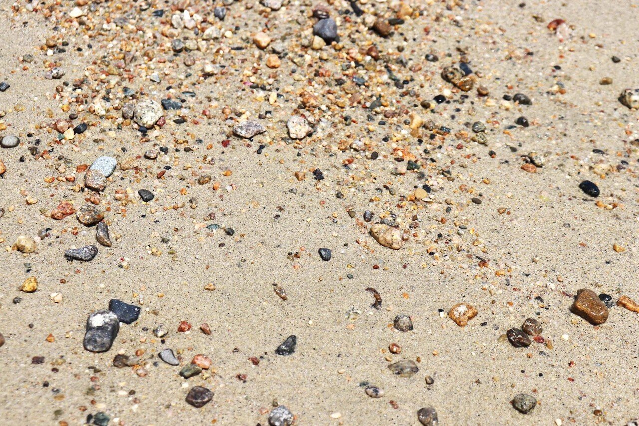 天橋立 4 海からの贈り物を探そう 天橋立で貝拾い 宮津市広報 天橋立 4 海からの贈り物を探そう 天橋立で貝拾い 宮津市広報