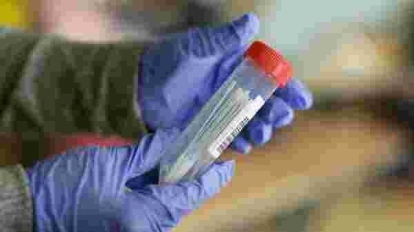 ドイツのワクチン接種 優先条件を撤廃し 全成人対象へ Digitalcreator Note