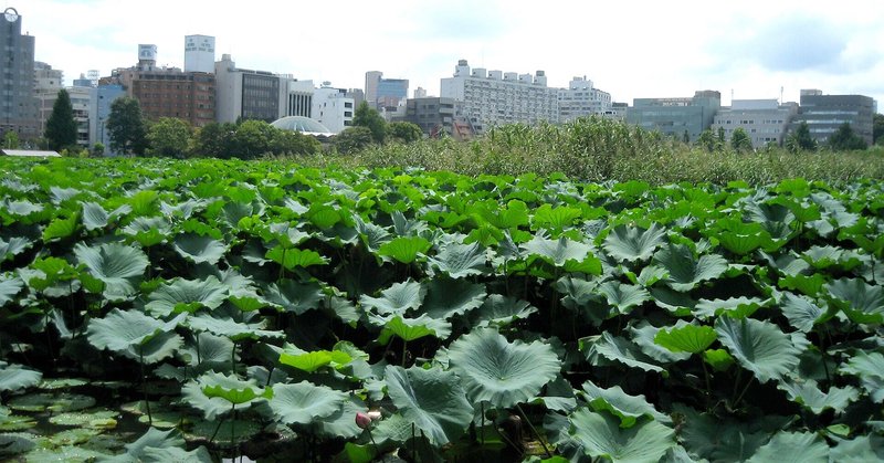 わたしのたからもの 後藤グミ Note