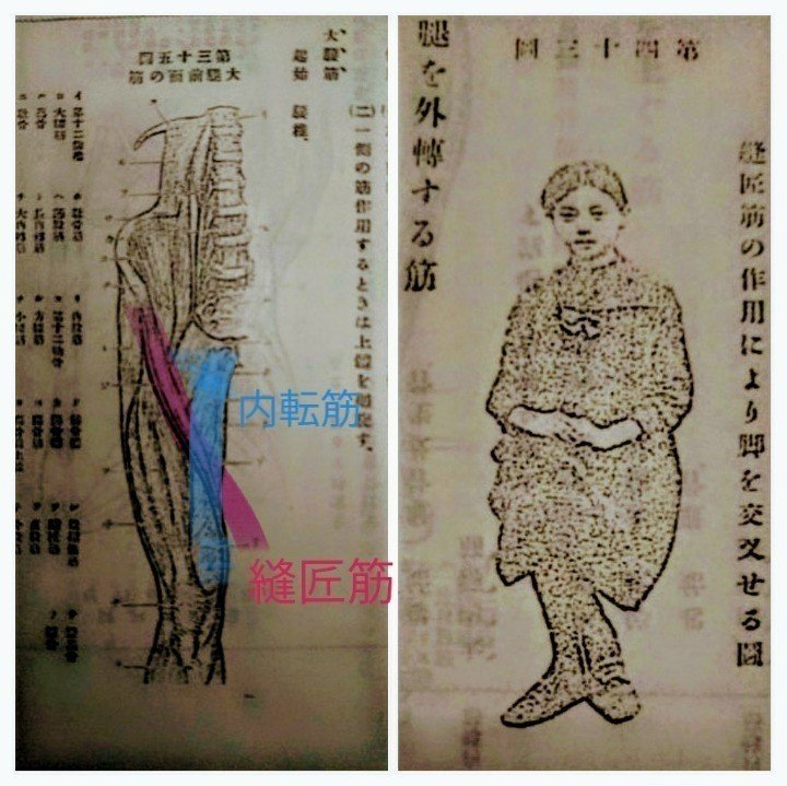 足を組む癖の原因と直し方について 久野 歩 Note 足を組む癖の原因と直し方について 久野 歩 Note