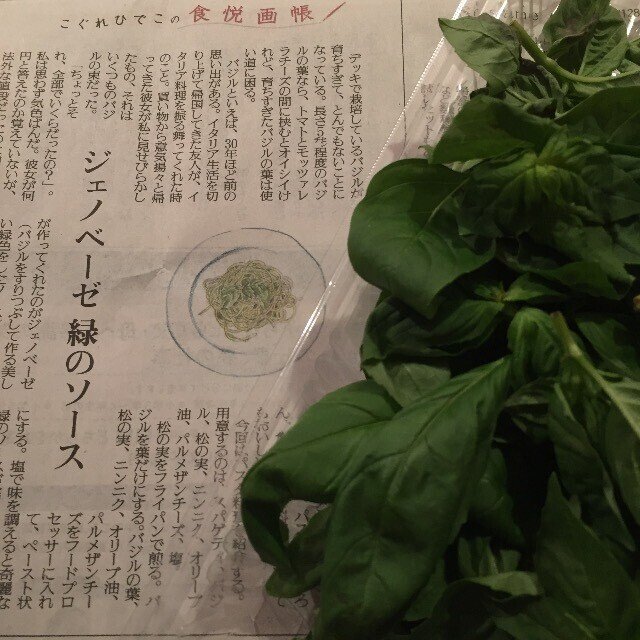 私と新聞のおいしい関係 水上 彩 Note